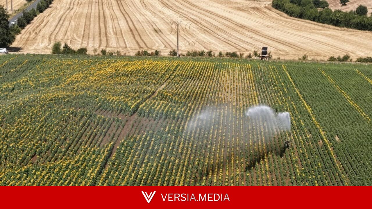 France: les canicules et la sécheresse font exploser la consommation d'eau