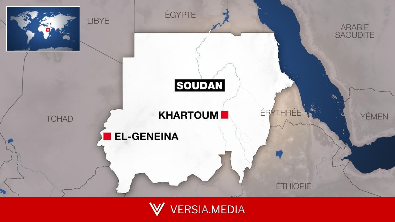Soudan: avancée significative de l'armée au Nil Bleu et au Darfour