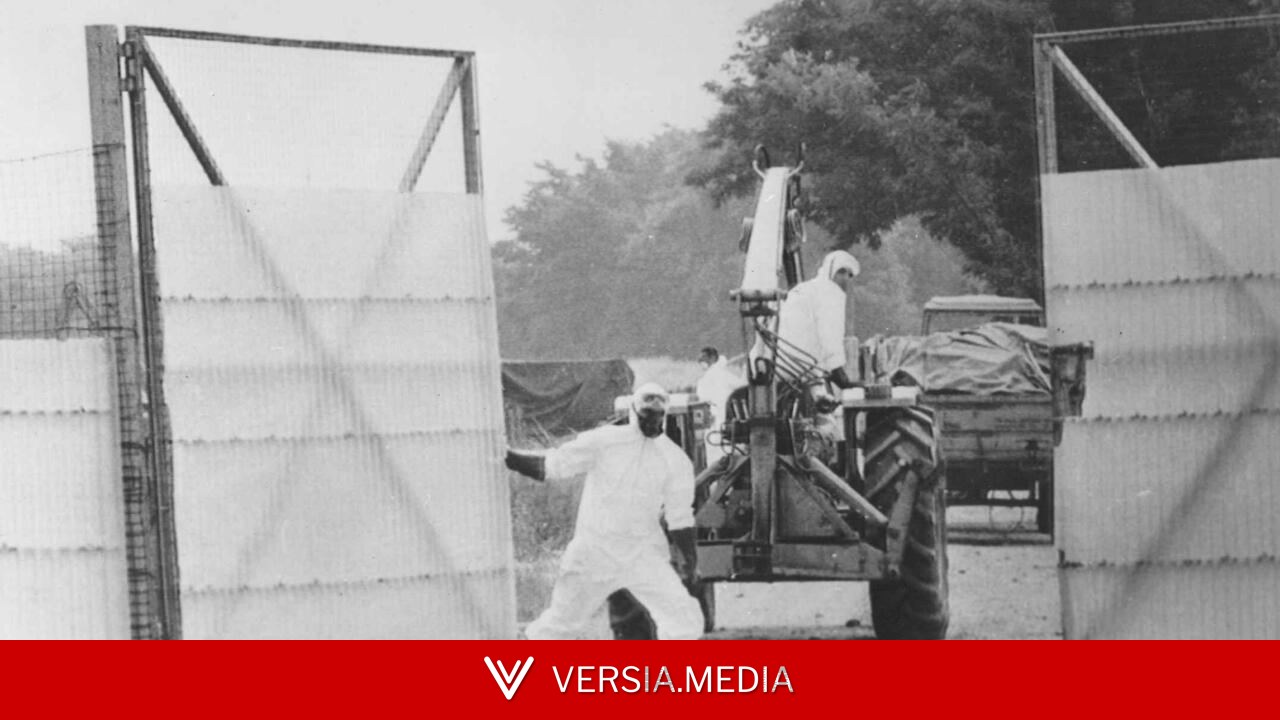 Le 10 juillet 1976, la catastrophe industrielle et environnementale de Seveso