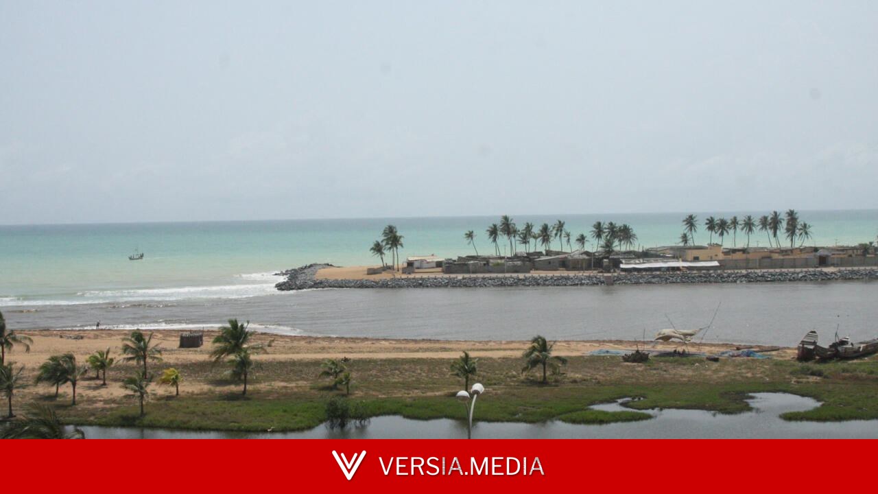 Au Togo, le difficile travail journalistique sur des sujets environnementaux «particulièrement sensibles» — World News | Versia.media