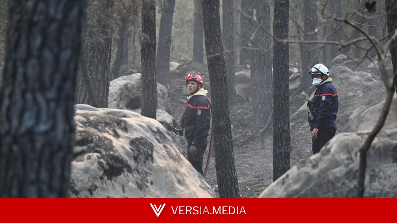 France: des travaux à l’origine de l’incendie principal à Fontainebleau, des ouvriers mis en examen