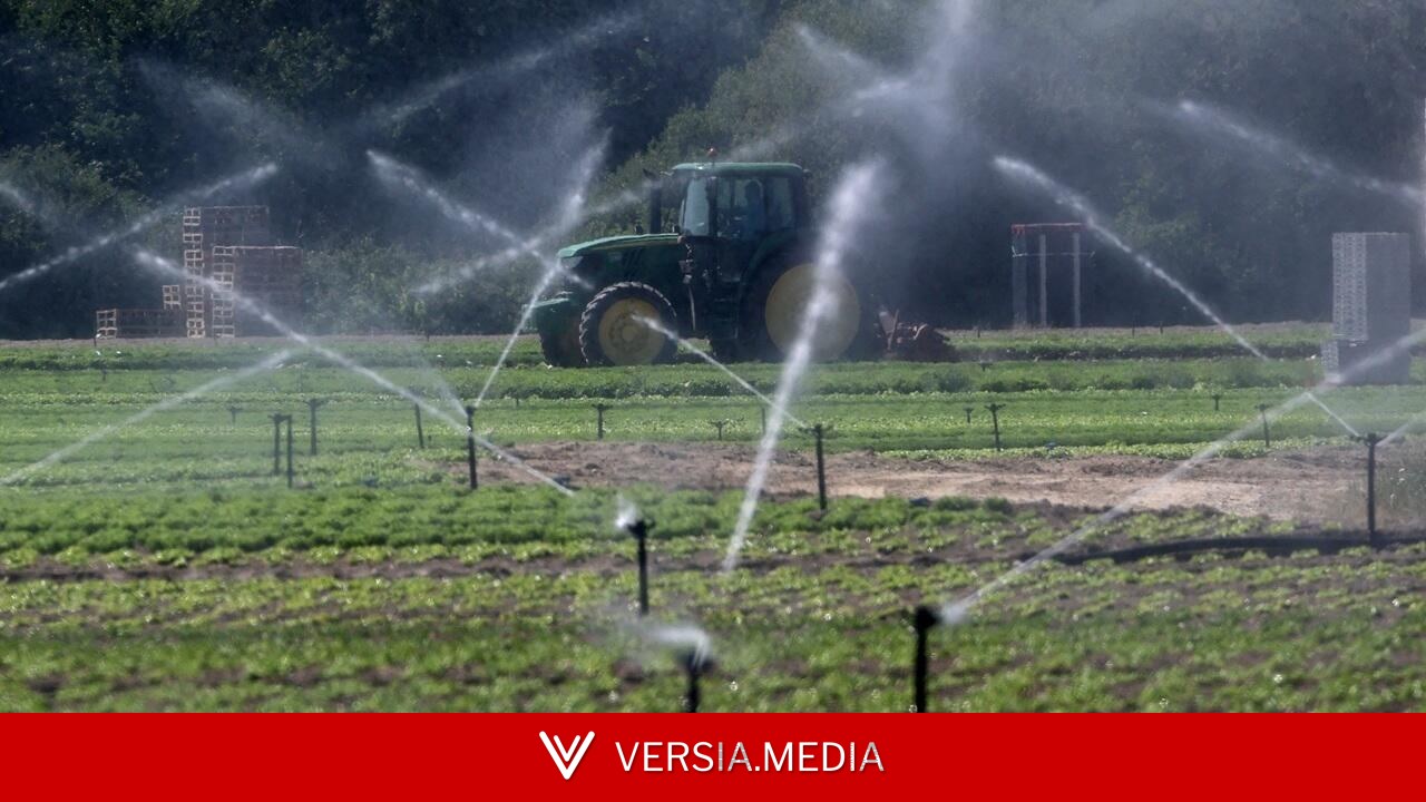 Face aux nouvelles réalités climatiques, «l’adaptation est urgente», presse le Haut Conseil pour le climat