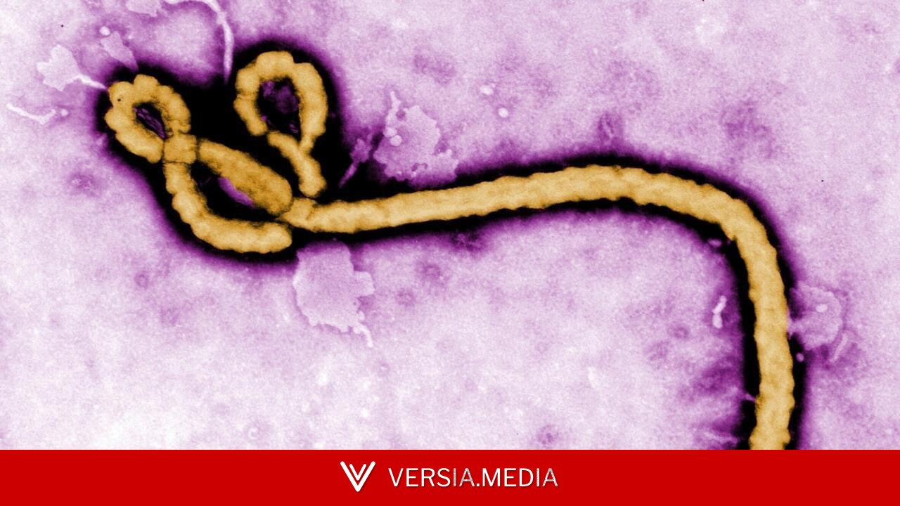 Ebola: face au risque de propagation de l'épidémie, la Centrafrique évalue sa préparation