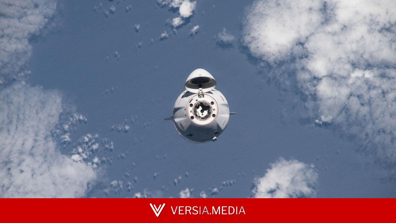 Des graines de l'arbuste sud-africain rooibos vont être expédiées dans l'espace